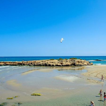 El Bosque Lejlighed Playa Flamenca Eksteriør billede